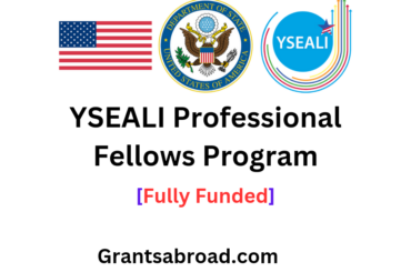 YSEALI Professional Fellows Program, USA 2025